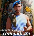 roma. kh. ua Интернет - магазин Футболка камуфлированная тельняшка