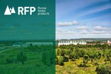 АО «РФП лесозаготовка» реализует неликвиды в ассортименте